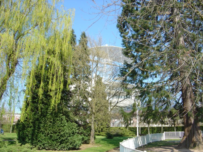 photo11.jpg