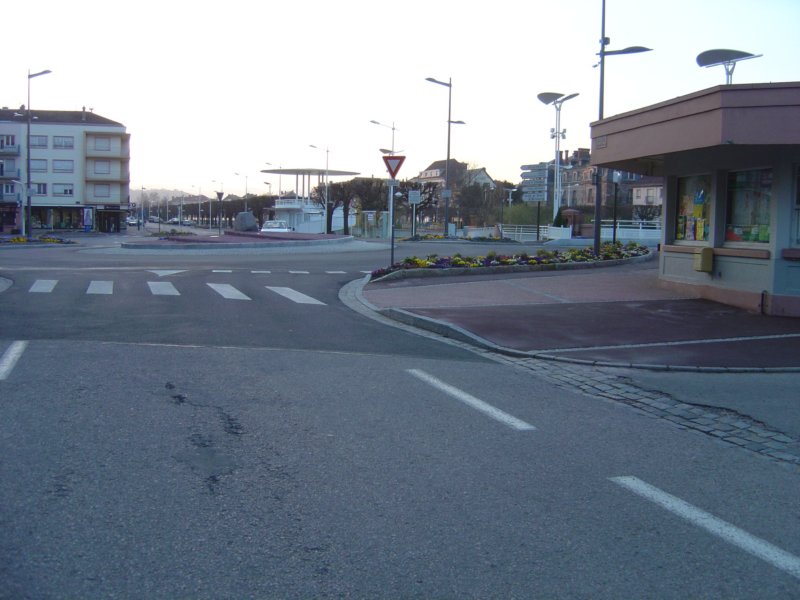 photo12.jpg