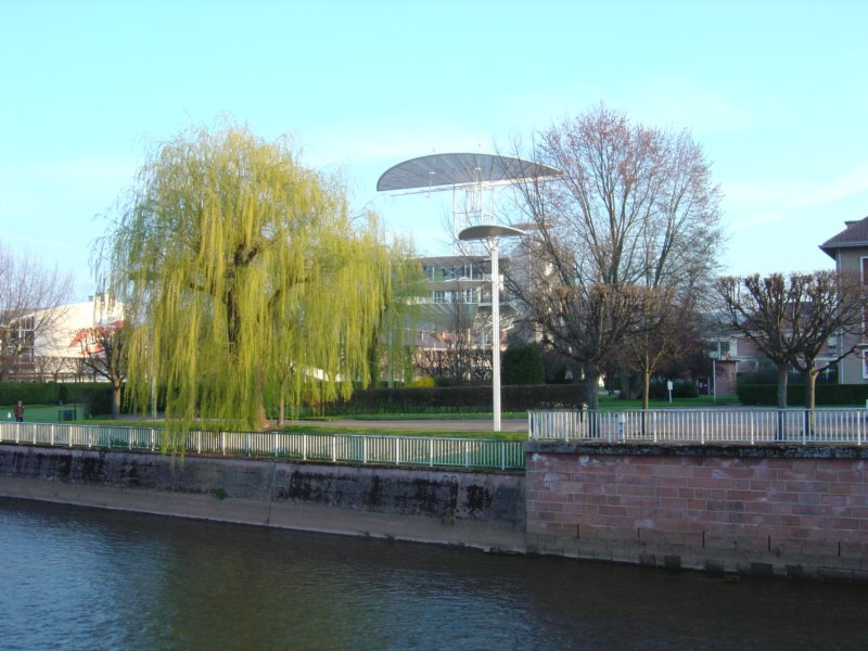 photo21.jpg